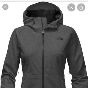 Manteau Northface apex en gor-tex